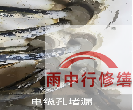 杭州电缆线空洞堵漏加固案例